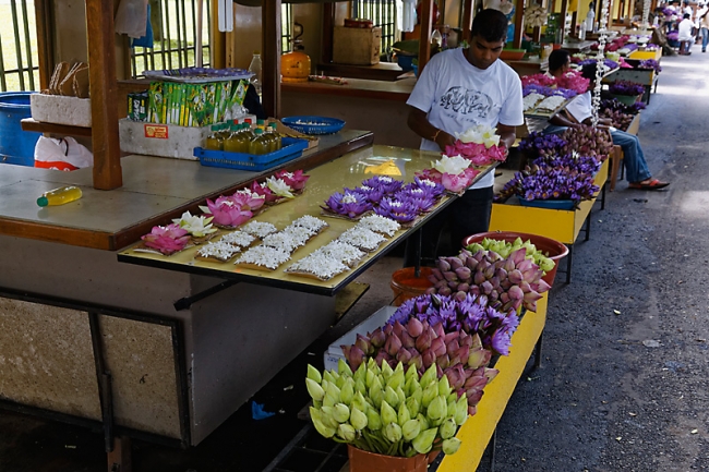 Kandy-Temple de la dent-003